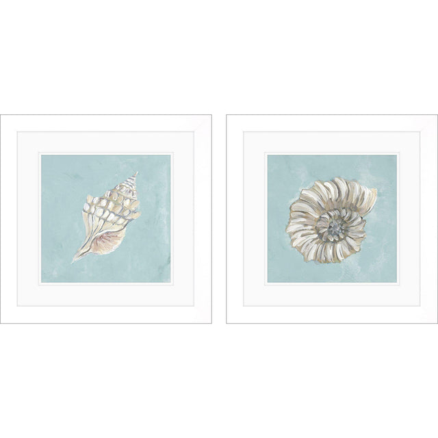 Paragon Seashell A S/2 Green 19 X 19 X 2 Wall Art
