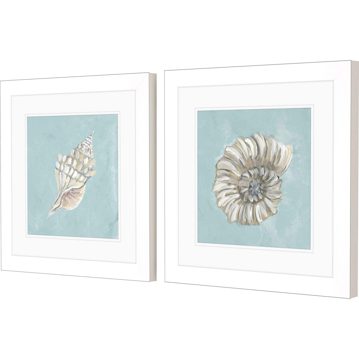 Paragon Seashell A S/2 Green 19 X 19 X 2 Wall Art