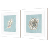 Paragon Seashell A S/2 Green 19 X 19 X 2 Wall Art