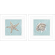 Paragon Seashell B S/2 Green 19 X 19 X 2 Wall Art