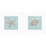Paragon Seashell B S/2 Green 19 X 19 X 2 Wall Art