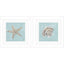 Paragon Seashell B S/2 Green 19 X 19 X 2 Wall Art