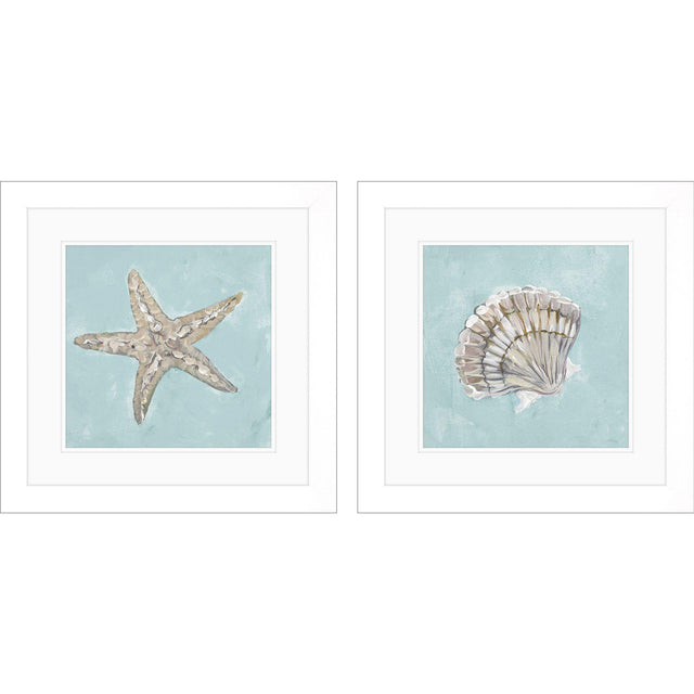 Paragon Seashell B S/2 Green 19 X 19 X 2 Wall Art