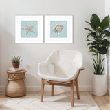 Paragon Seashell B S/2 Green 19 X 19 X 2 Wall Art