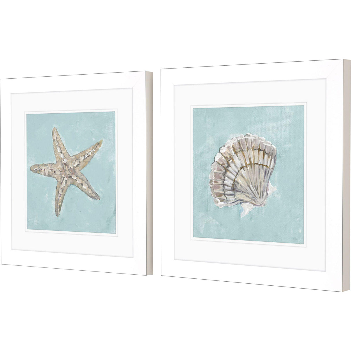 Paragon Seashell B S/2 Green 19 X 19 X 2 Wall Art