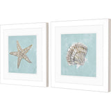Paragon Seashell B S/2 Green 19 X 19 X 2 Wall Art