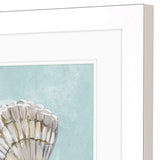 Paragon Seashell B S/2 Green 19 X 19 X 2 Wall Art