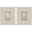 Paragon Delicate Botanicals S/2 Gray 11 X 09 X 1 Wall Art