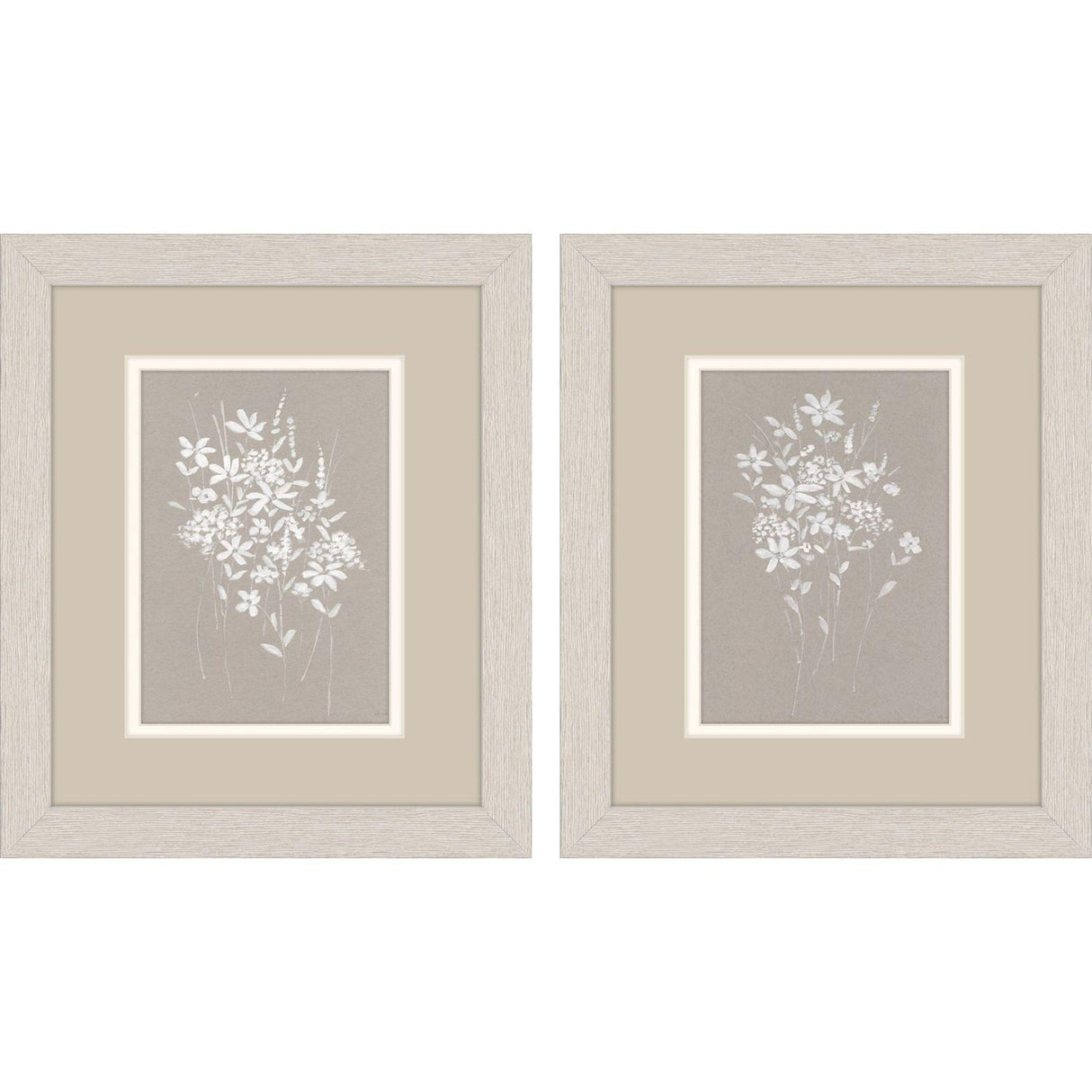 Paragon Delicate Botanicals S/2 Gray 11 X 09 X 1 Wall Art