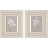 Paragon Delicate Botanicals S/2 Gray 11 X 09 X 1 Wall Art