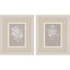 Paragon Delicate Botanicals S/2 Gray 11 X 09 X 1 Wall Art
