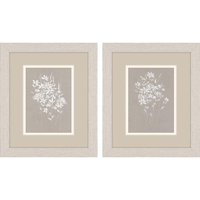 Paragon Delicate Botanicals S/2 Gray 11 X 09 X 1 Wall Art