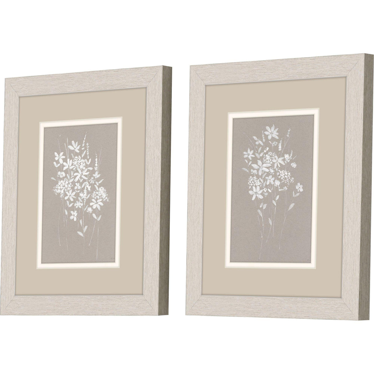Paragon Delicate Botanicals S/2 Gray 11 X 09 X 1 Wall Art