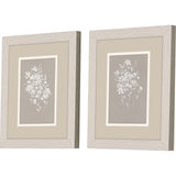Paragon Delicate Botanicals S/2 Gray 11 X 09 X 1 Wall Art