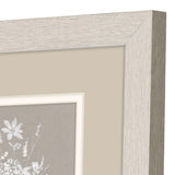 Paragon Delicate Botanicals S/2 Gray 11 X 09 X 1 Wall Art