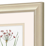 Paragon Rose Botanical S/2 Pink 12 X 10 X 1 Wall Art