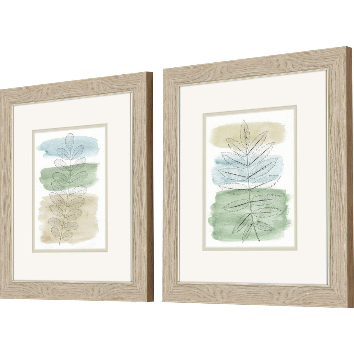 Paragon Spring Branch S/2 Blue 18 X 16 X 1 Wall Art