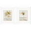Paragon Gold Palm in Paradise S/2 Beige 16 X 14 X 2 Wall Art
