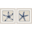 Paragon Shades of Starfish S/2 Blue 17 X 17 X 1 Wall Art