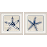 Paragon Shades of Starfish S/2 Blue 17 X 17 X 1 Wall Art
