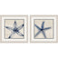 Paragon Shades of Starfish S/2 Blue 17 X 17 X 1 Wall Art