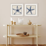Paragon Shades of Starfish S/2 Blue 17 X 17 X 1 Wall Art