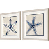 Paragon Shades of Starfish S/2 Blue 17 X 17 X 1 Wall Art