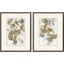 Paragon Gingko Accent S/2 Green 25 X 19 X 1 Wall Art