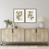 Paragon Gingko Accent S/2 Green 25 X 19 X 1 Wall Art