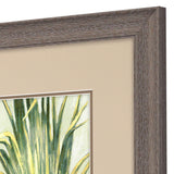 Paragon Summer Breeze S/2 Green 33 X 21 X 1 Wall Art