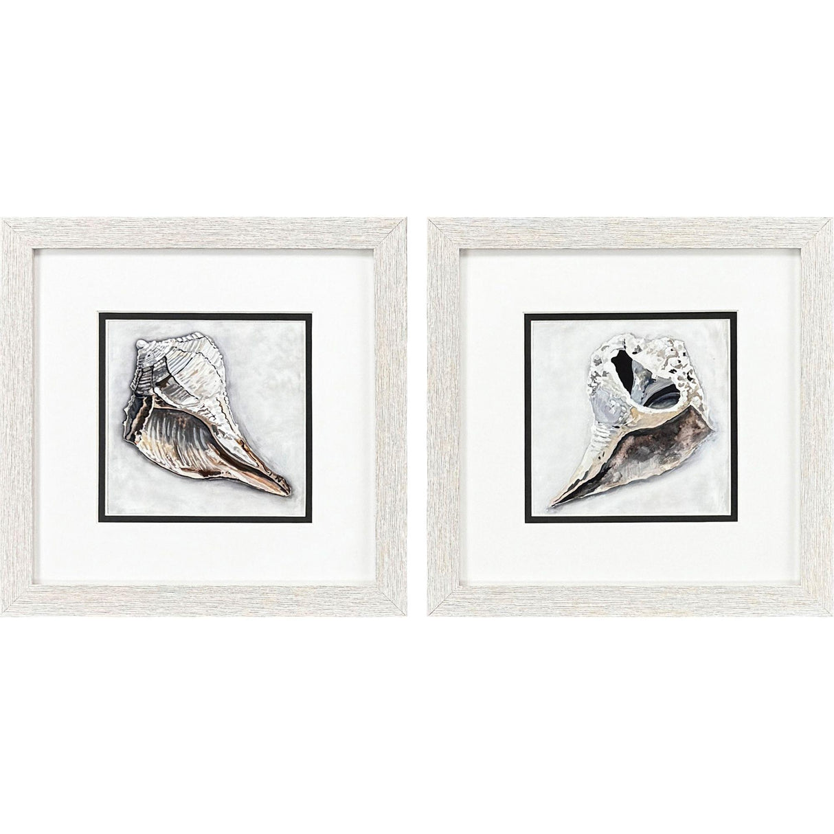 Paragon Ocean Treasure S/2 Brown 11 X 11 X 1 Wall Art
