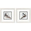 Paragon Ocean Treasure S/2 Brown 11 X 11 X 1 Wall Art