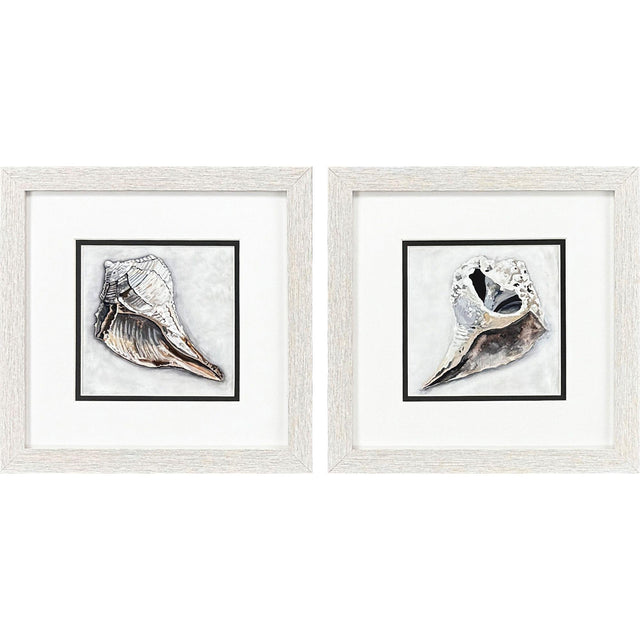 Paragon Ocean Treasure S/2 Brown 11 X 11 X 1 Wall Art