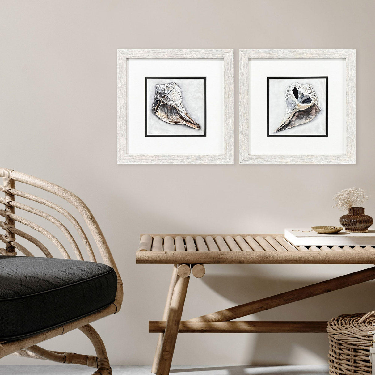 Paragon Ocean Treasure S/2 Brown 11 X 11 X 1 Wall Art