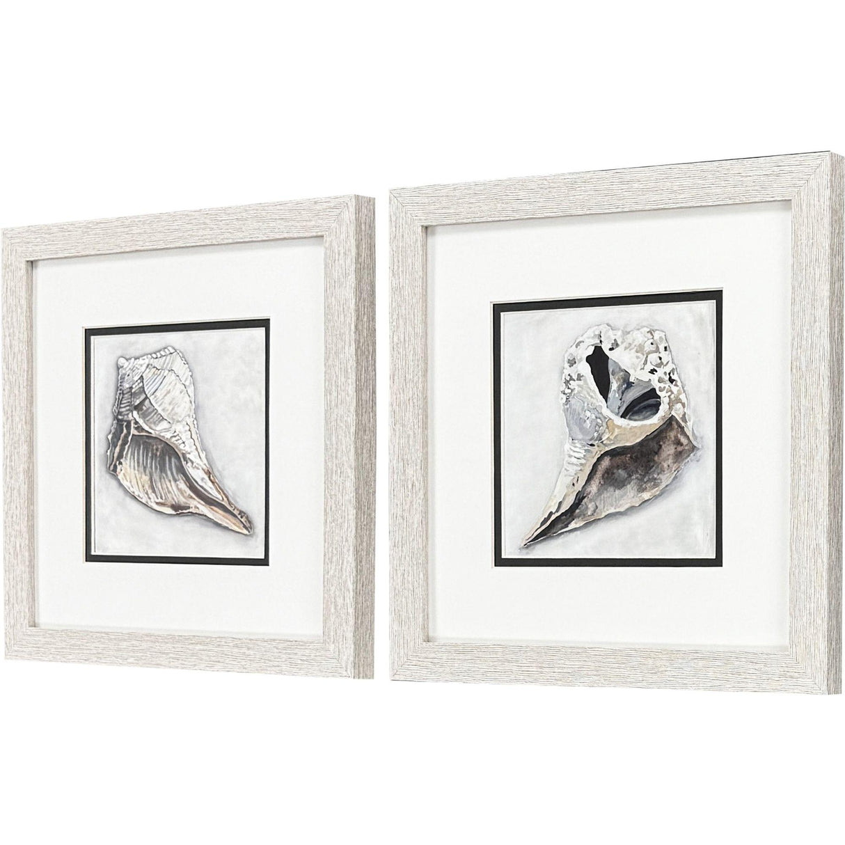 Paragon Ocean Treasure S/2 Brown 11 X 11 X 1 Wall Art