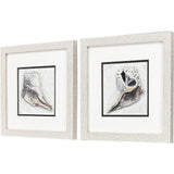 Paragon Ocean Treasure S/2 Brown 11 X 11 X 1 Wall Art
