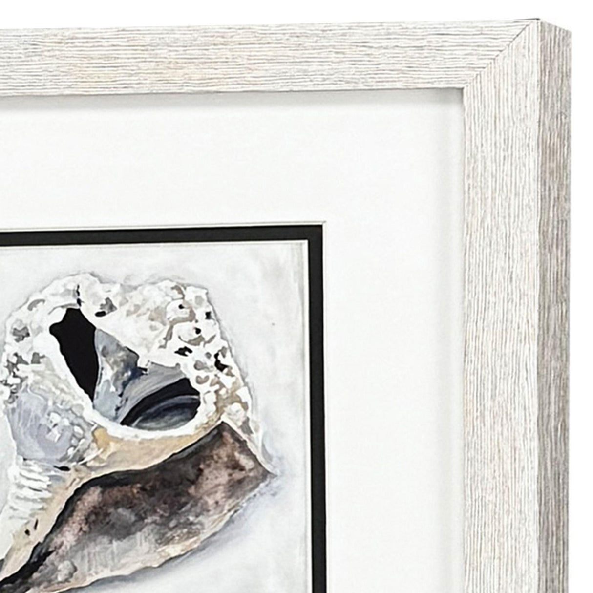 Paragon Ocean Treasure S/2 Brown 11 X 11 X 1 Wall Art