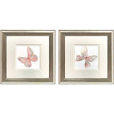 Paragon Blush Butterfly S/2 Pink 13 X 13 X 1 Wall Art