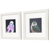 Paragon Vivid Bird II S/2 Pink 11 X 11 X 1 Wall Art