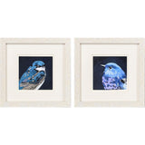 Paragon Vivid Bird I S/2 Blue 11 X 11 X 1 Wall Art