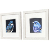 Paragon Vivid Bird I S/2 Blue 11 X 11 X 1 Wall Art