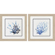 Paragon Coral Shades S/2 Blue 19 X 19 X 1 Wall Art