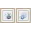 Paragon Coral Shades S/2 Blue 19 X 19 X 1 Wall Art