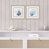 Paragon Coral Shades S/2 Blue 19 X 19 X 1 Wall Art