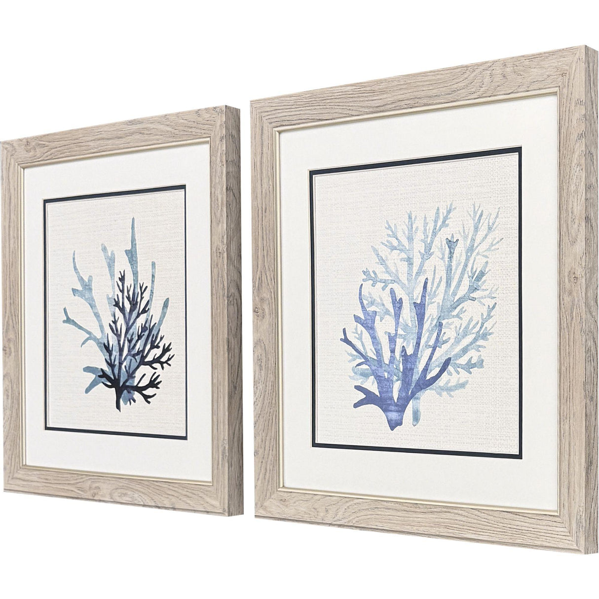 Paragon Coral Shades S/2 Blue 19 X 19 X 1 Wall Art