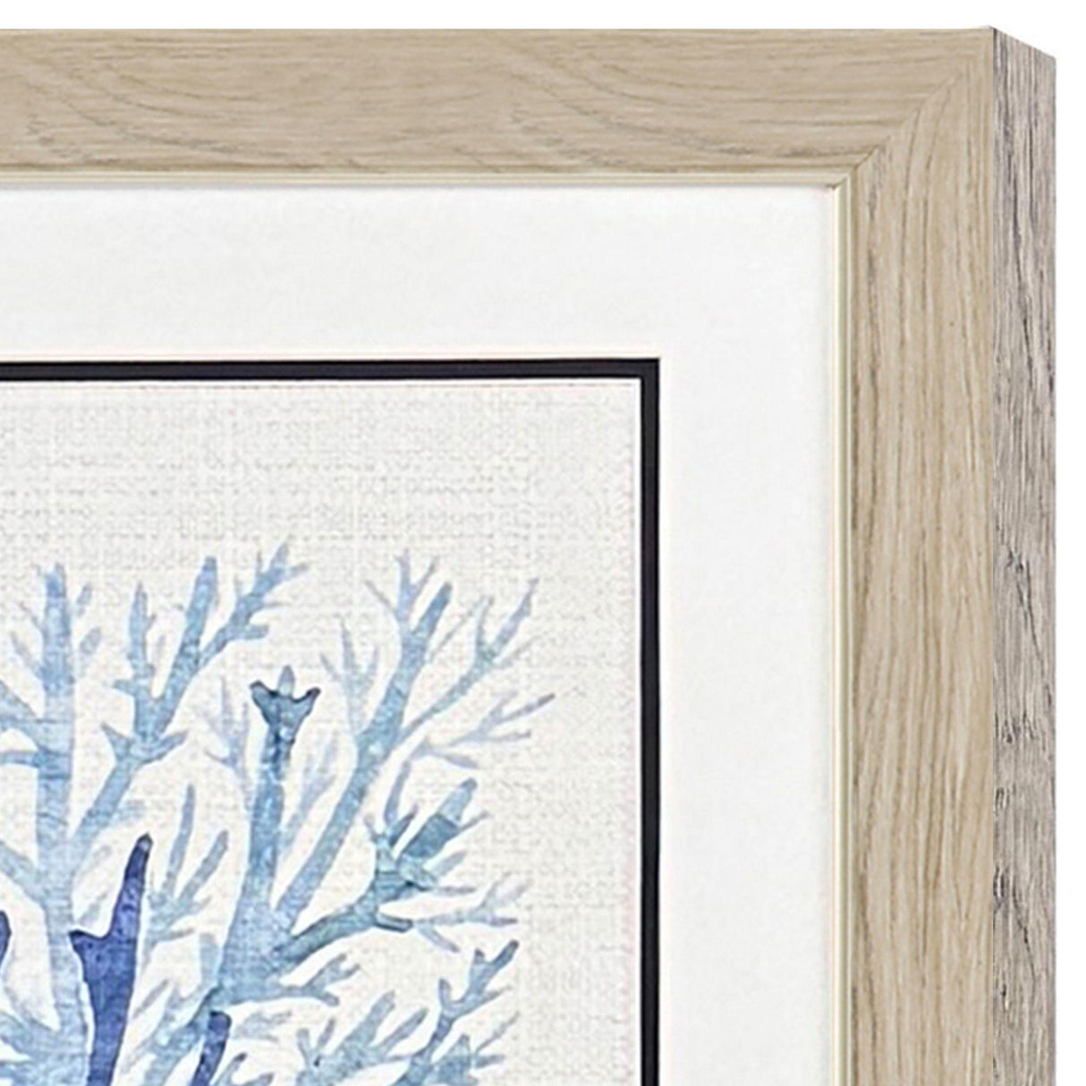Paragon Coral Shades S/2 Blue 19 X 19 X 1 Wall Art