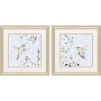 Paragon Hummingbird Song S/2 White 18 X 18 X 1 Wall Art