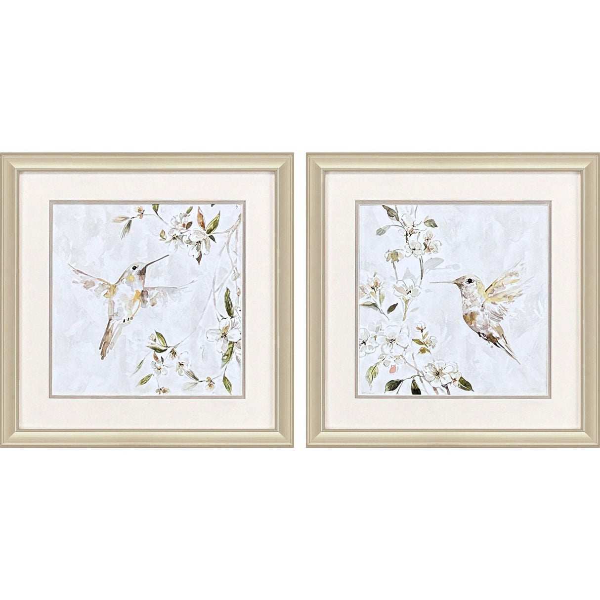 Paragon Hummingbird Song S/2 White 18 X 18 X 1 Wall Art