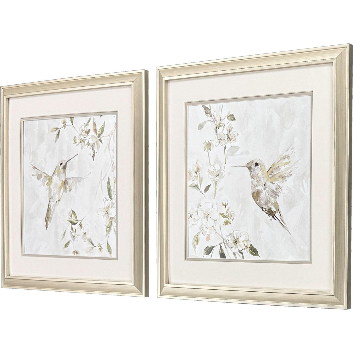 Paragon Hummingbird Song S/2 White 18 X 18 X 1 Wall Art