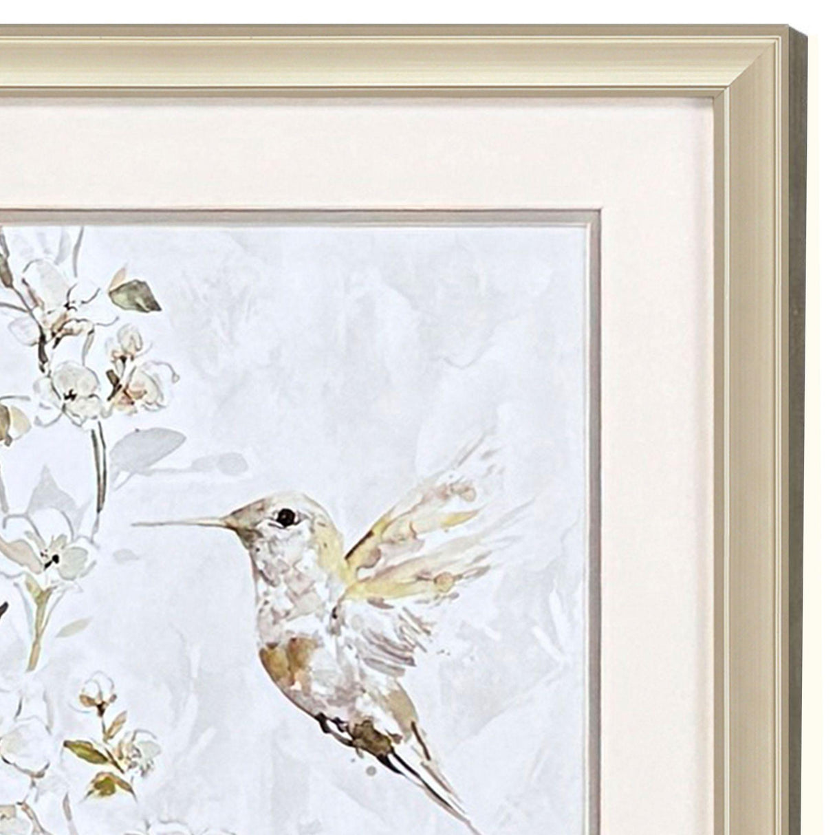 Paragon Hummingbird Song S/2 White 18 X 18 X 1 Wall Art